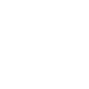 WhaleWatching madeira funchal