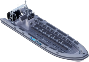 blue safari madeira whale dolphin watching tours funchal