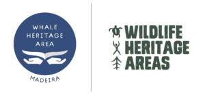 whale dolphin watching tour funchal madeira