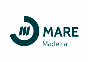 whale watching dolphins tour madeira funchal