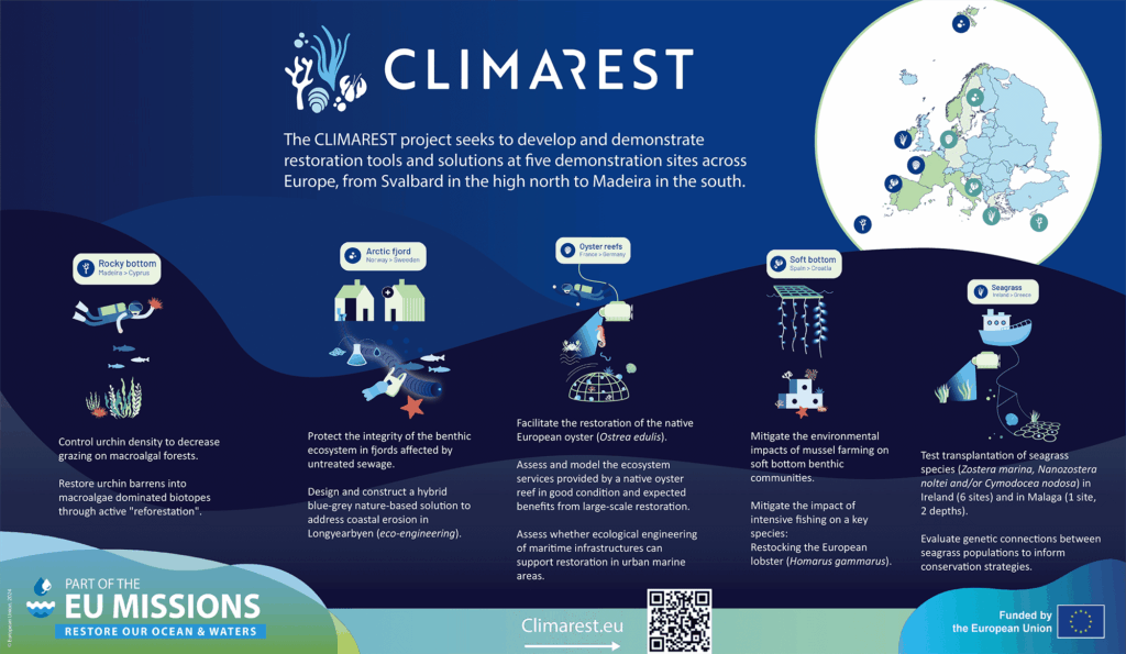 conservation and science with blue safari madeira