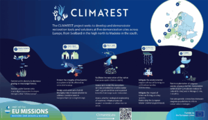 conservation and science with blue safari madeira